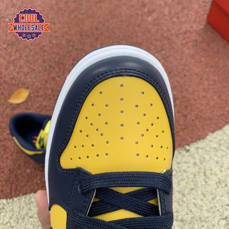 Dunk Low 'Michigan' 221 Unisex