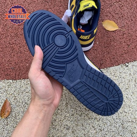 Dunk Low 'Michigan' 221 Unisex
