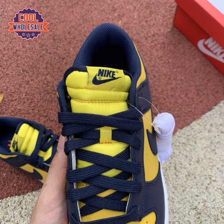 Dunk Low 'Michigan' 221 Unisex