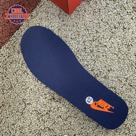 Dunk Low 'Michigan' 221 Unisex
