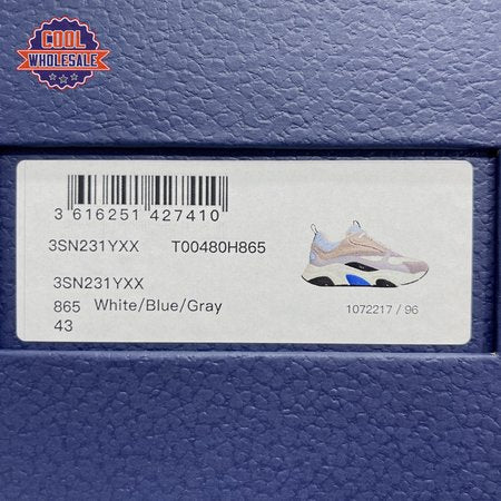 Dior B22 White Blue 35-45