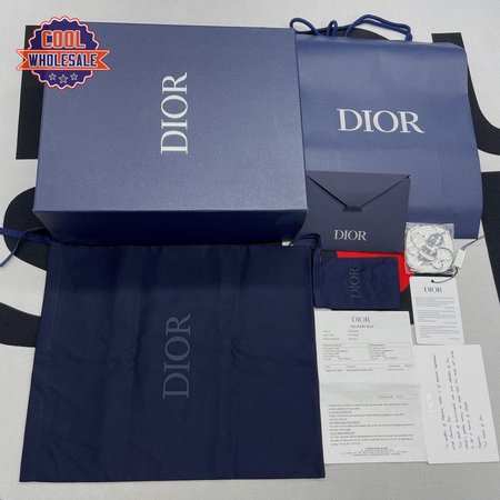 Dior B22 White Blue 35-45