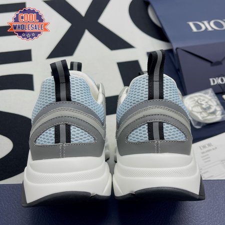 Dior B22 White Blue 35-45