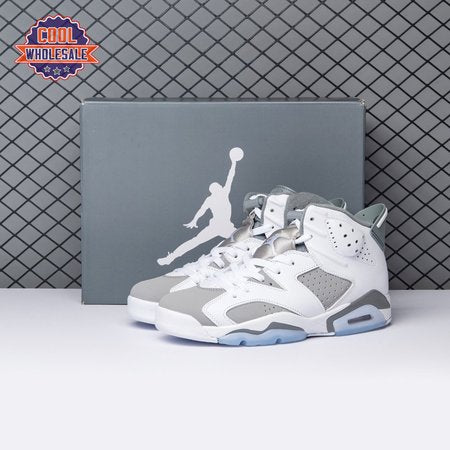 Air Jordan 6 Cool Grey CT8529-1 Men's