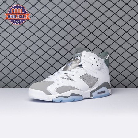 Air Jordan 6 Cool Grey CT8529-1 Men's