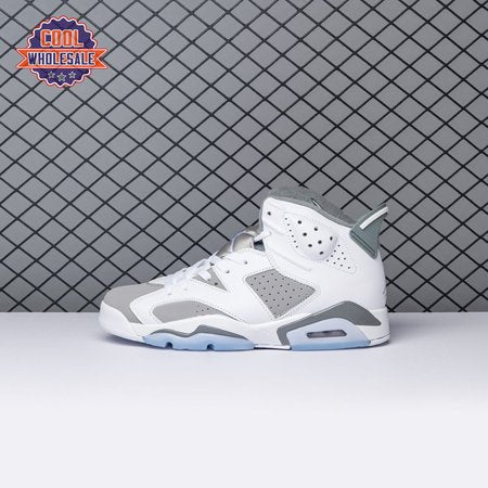 Air Jordan 6 Cool Grey CT8529-1 Men's