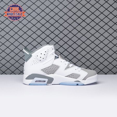 Air Jordan 6 Cool Grey CT8529-1 Men's