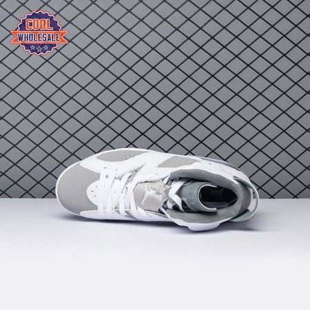 Air Jordan 6 Cool Grey CT8529-1 Men's