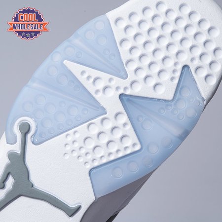 Air Jordan 6 Cool Grey CT8529-1 Men's