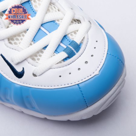 Nike Air Foamposite Pro University Blue 62441-411 Unisex