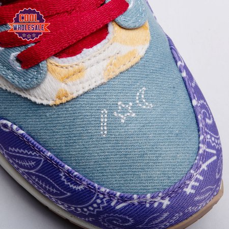 Nike Air Max 1 SP Concepts Far Out DN183-5 Unisex