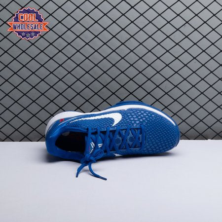 Nike Kobe 6 Protro Dodgers CW219-4 Men's